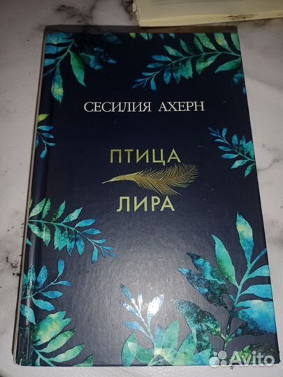 Сесилия Ахерн 