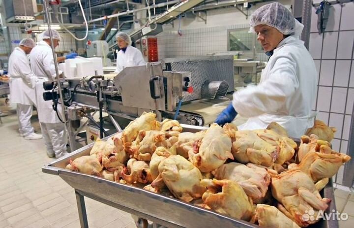 Работа 15 смен Вахта В Белгороде/Питание