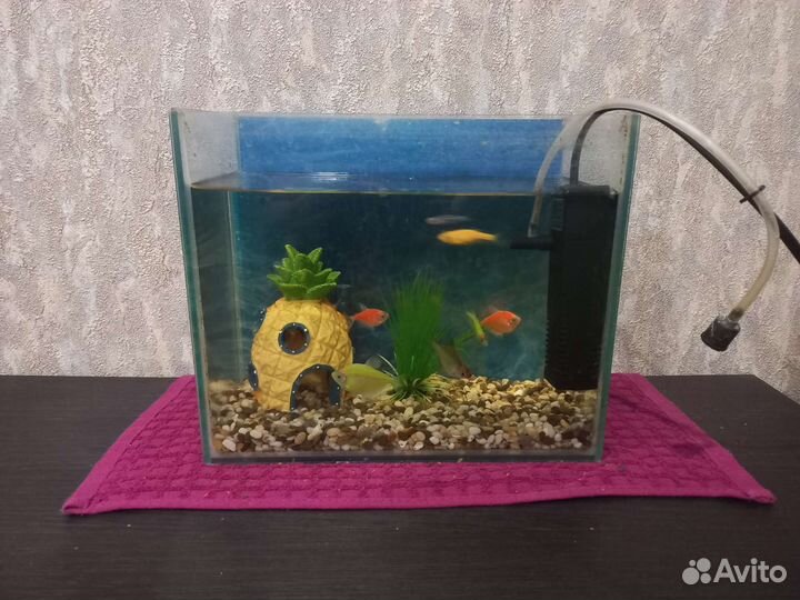 Аквариум,рыбки