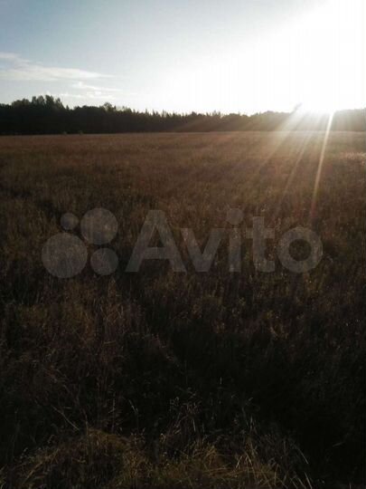 Участок 3,22 га (СНТ, ДНП)