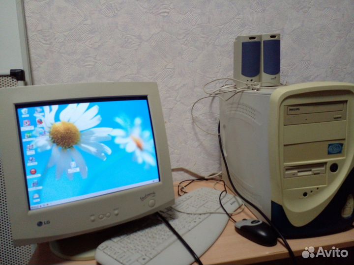 Монитор для компьютера и процессор