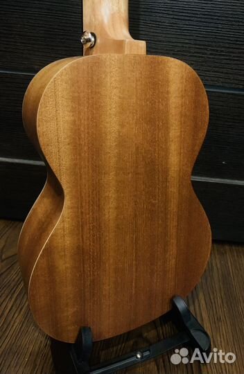 Укулеле Enya (япония концерт)