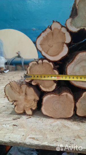 Можжевельник