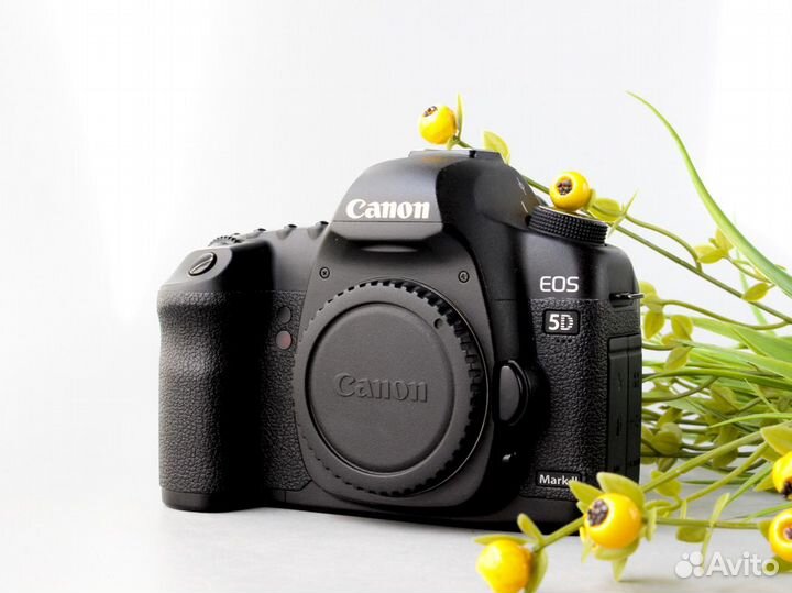 Фотоаппарат Canon 5D Mark II body