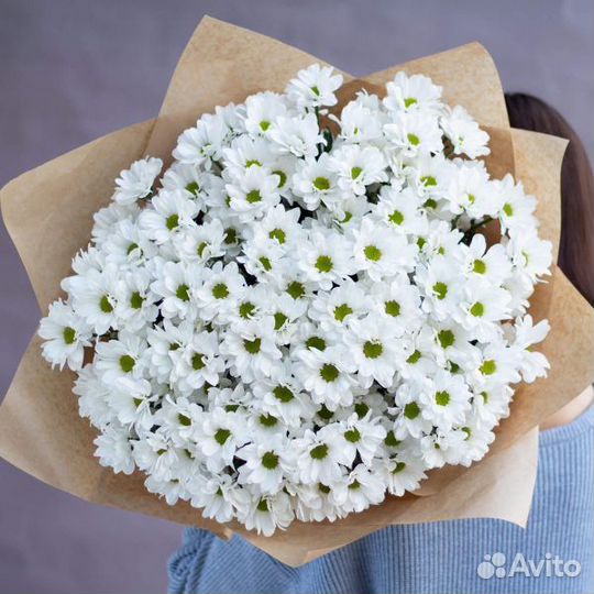 Ромашки, свежие цветы, доставка букетов