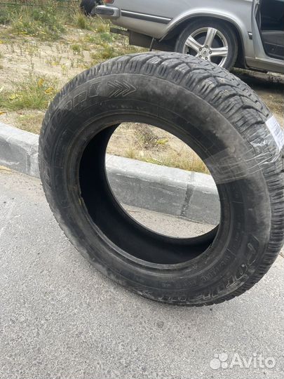 Cordiant Polar 195/65 R15 91