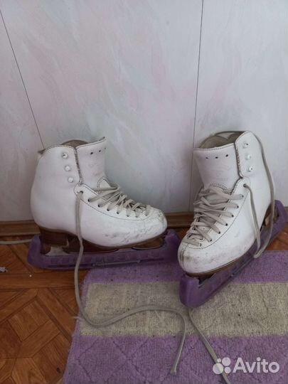 Фигурные коньки risport excellence 215