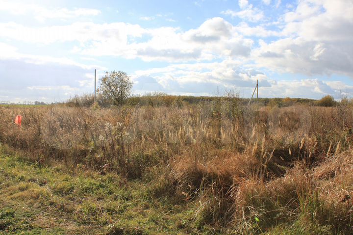 Участок 10 сот. (СНТ, ДНП)