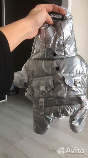 Одежда для собак