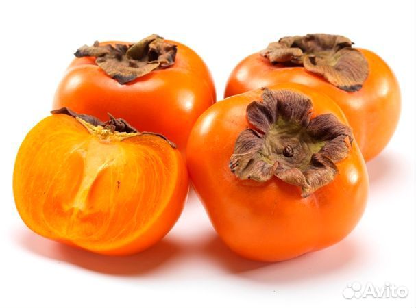 Саженцы хурмы