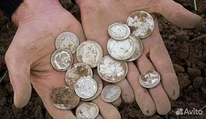 Металлоискатель полупроф X-Terra 705 Прокат/Аренда