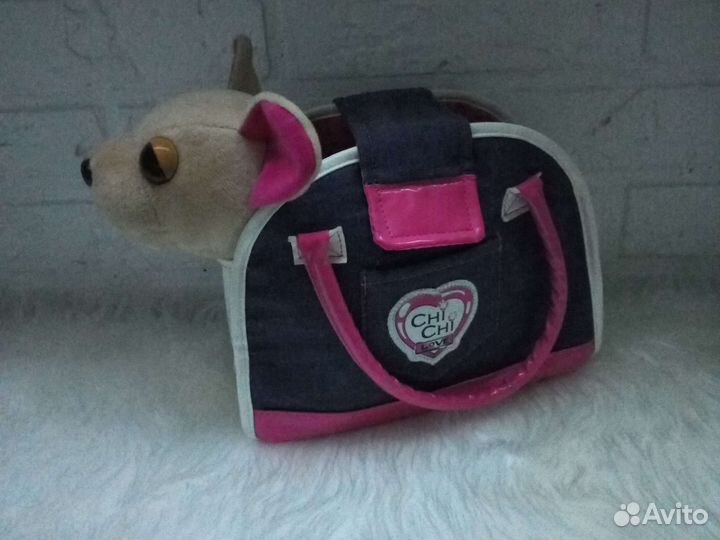 Чичилав чихуахуа