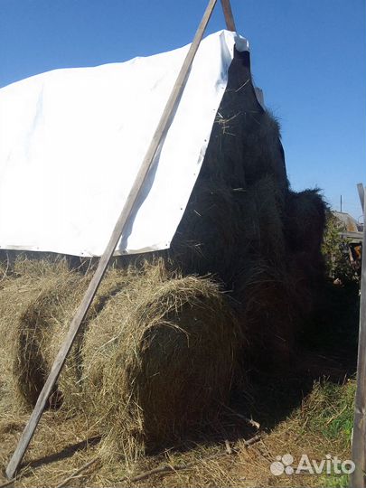 Сено в рулонах