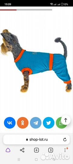 Комбинезон трикотажный для маленькой собачки