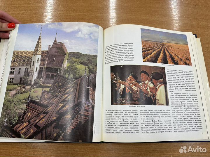 Встреча с Францией. Анри Гужо, Колетт Гувьон