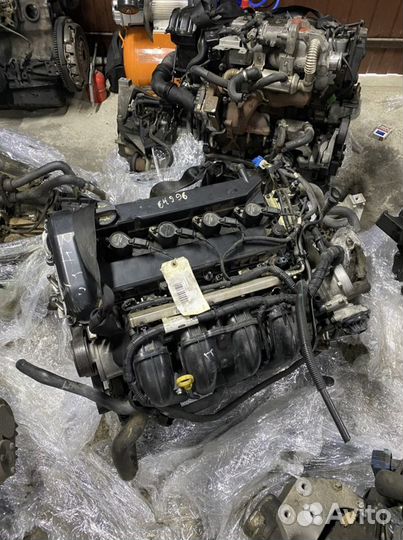 Двигатель aoda Ford Focus ll 2.0л aodb