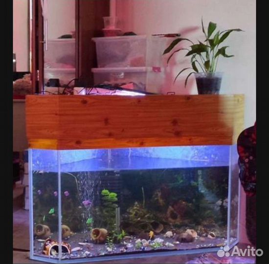 Аквариум