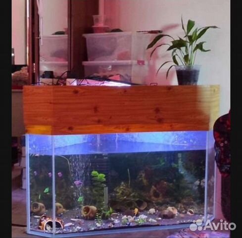 Аквариум