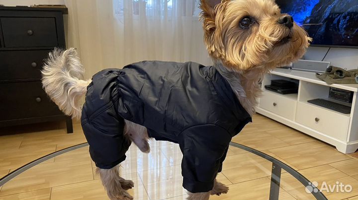 Новые комбинезоны ручной работы для собачек