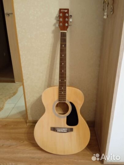Акустическая гитара homage 4000