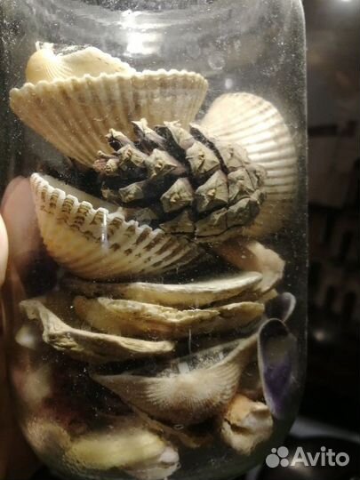 Декор (стекла, камушки, ракушки)