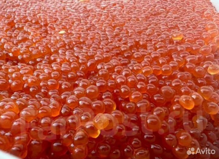 Красная икра горбуши