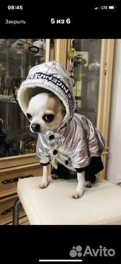 Зимний комбинезон новый для собак
