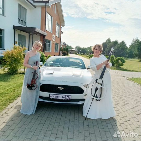 Музыканты на ваш праздник