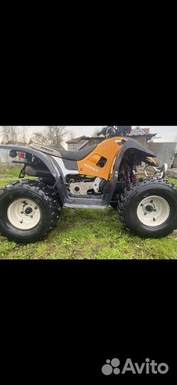 Stels atv 50