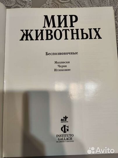 Энциклопедия
