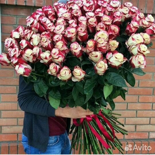 Букет из 25,31,51,101 розы