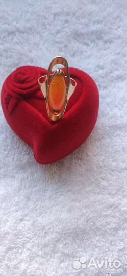 Золотое кольцо орбита