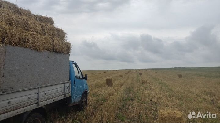 Сено луговое, солома