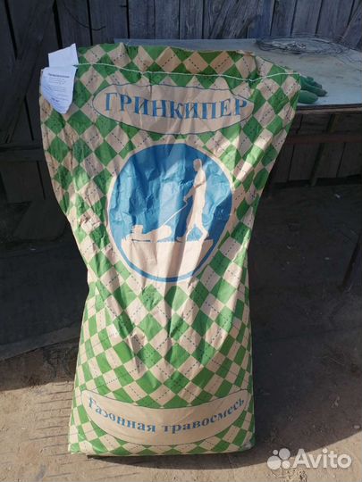 Газонная трава