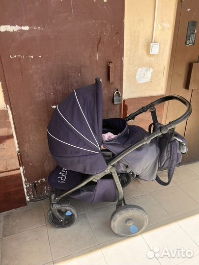 Коляска zippy sport 2 в 1