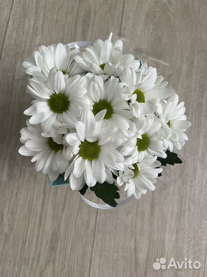 Живые цветы в корзинках