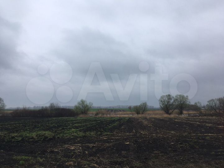 Дом 50 м² на участке 30 сот.