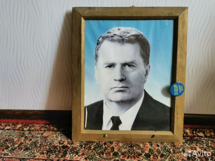 Портрет жириновского