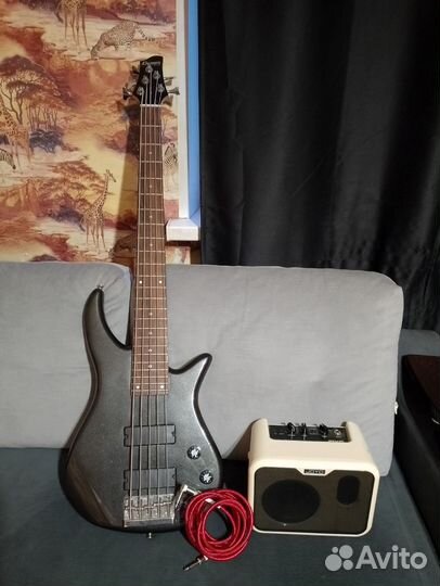 5 струнная бас гитара