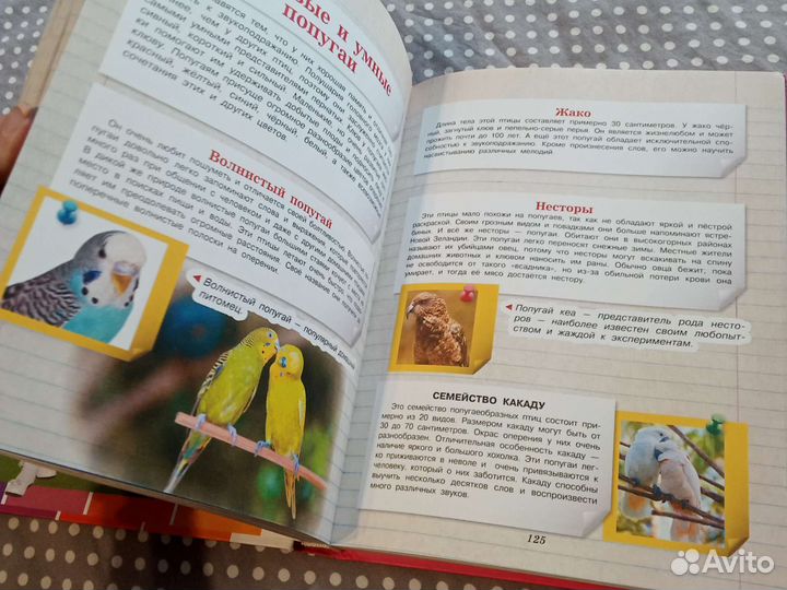 Энциклопедия для девочек