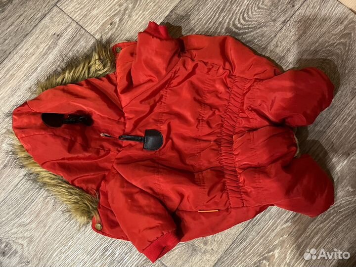 Одежда для собак мелких пород