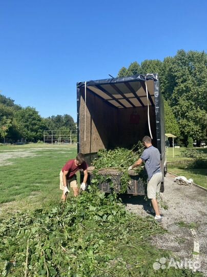 Вывоз мусора Грузчики Утилизация