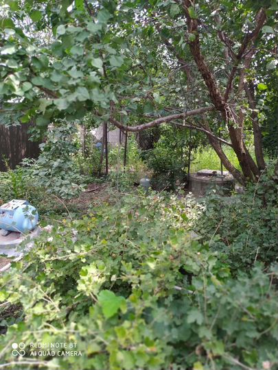 Коттедж 54 м² на участке 4,2 сот.