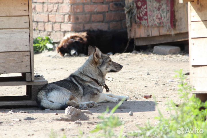 Капля