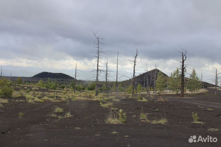 Тур на Толбачик 4 дня/3 ночи, лето 2024