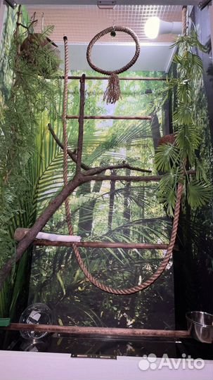 Клетка вольер для птиц