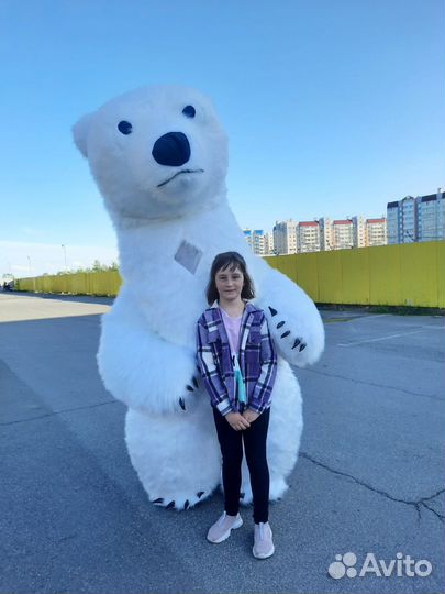 Большой белый медведь