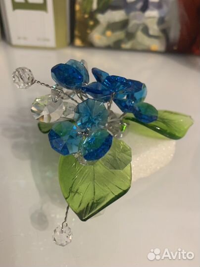 Декоративные цветы