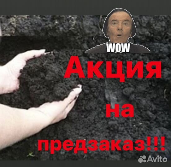 Чернозем