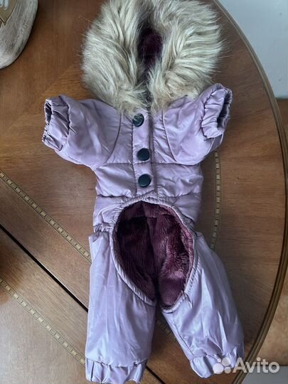 Одежда для маленьких собак